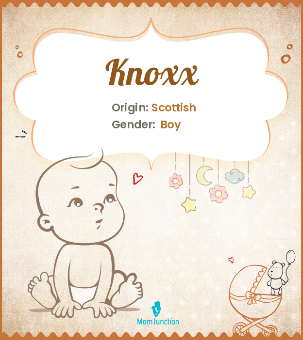 knoxx