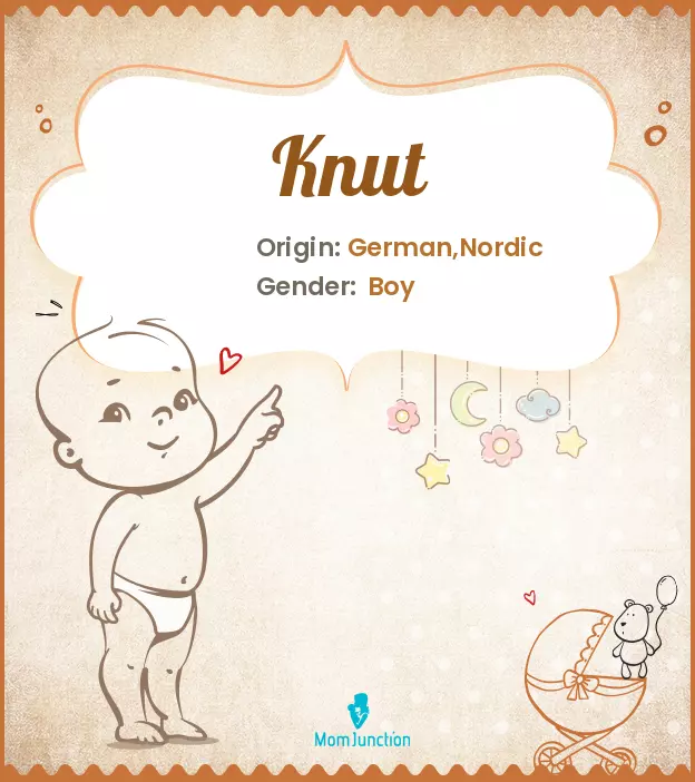 Explore Knut: Meaning, Origin & Popularity | MomJunction