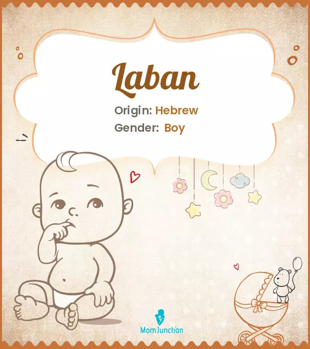 Explore Laban: Meaning, Origin & Popularity | MomJunction