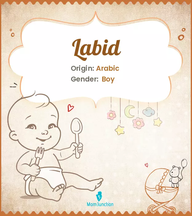 Explore Labid: Meaning, Origin & Popularity | MomJunction