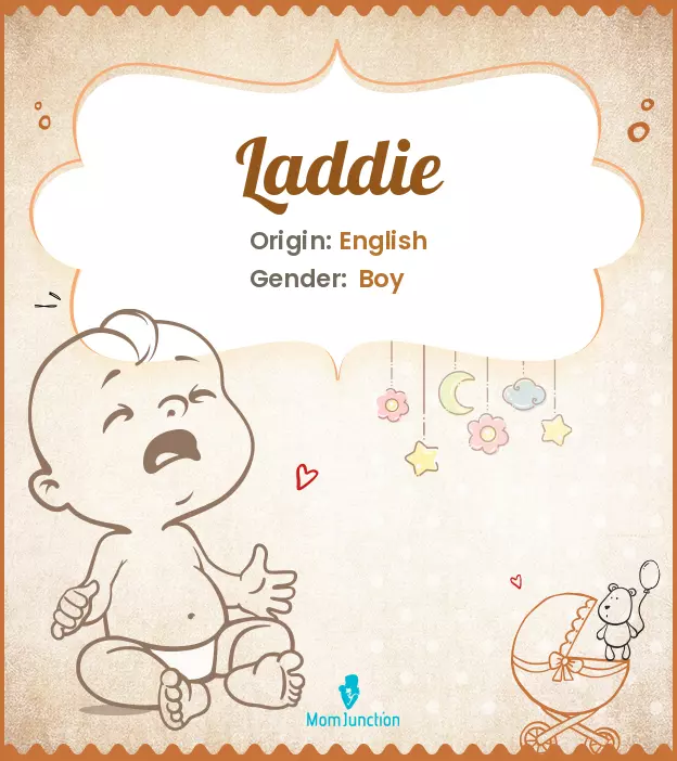 Explore Laddie: Meaning, Origin & Popularity_image