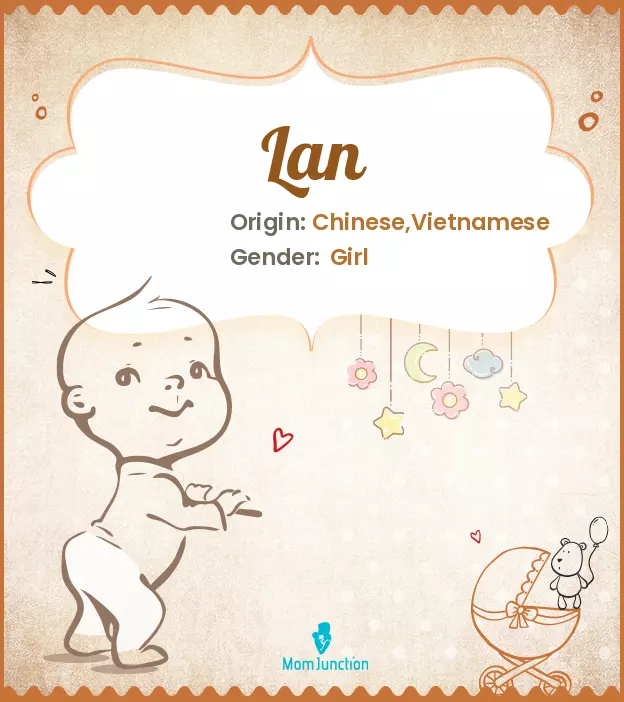 Explore Lan: Meaning, Origin & Popularity | MomJunction