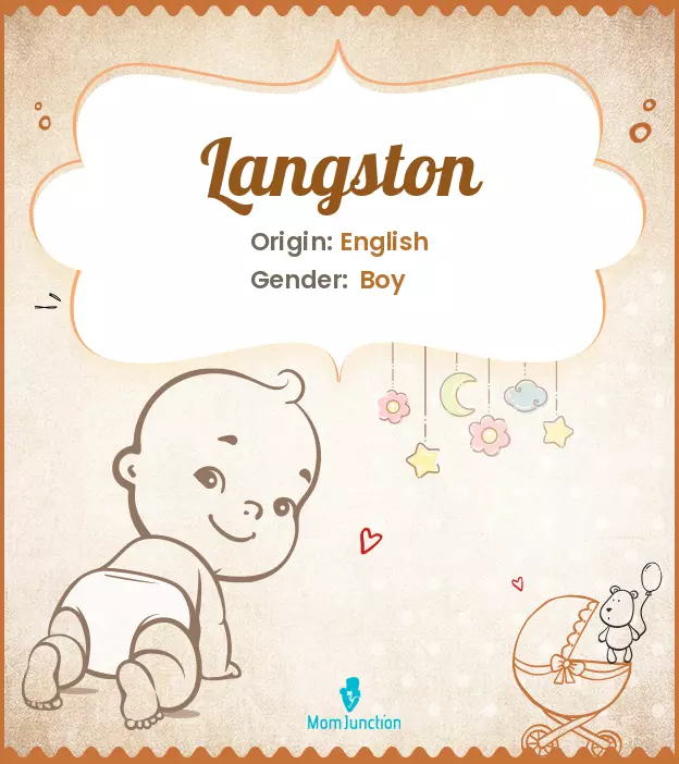 Explore Langston: Meaning, Origin & Popularity_image