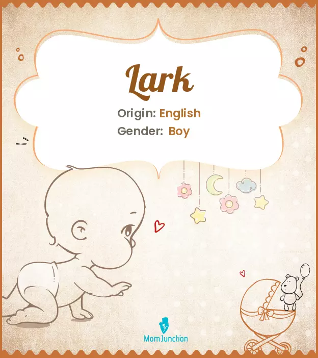 Explore Lark: Meaning, Origin & Popularity | MomJunction