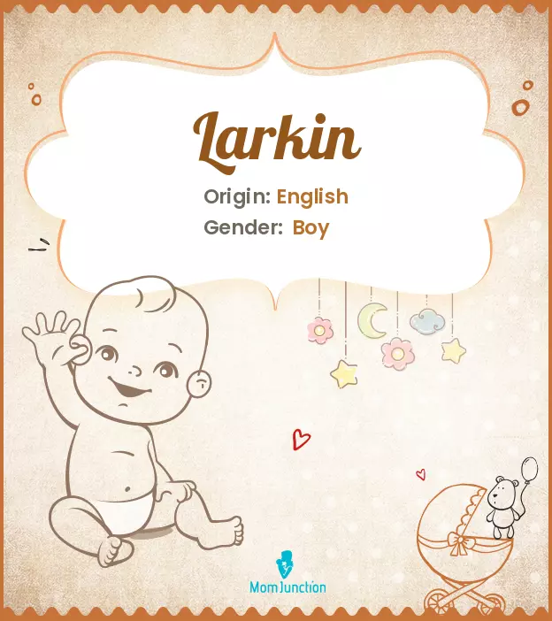 Larkin: Name Meaning, Origin, History, And Popularity | MomJunction