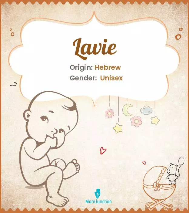 Explore Lavie: Meaning, Origin & Popularity_image