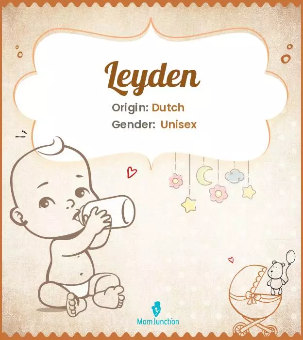Baby Name Leyden Meaning, Origin, And Popularity