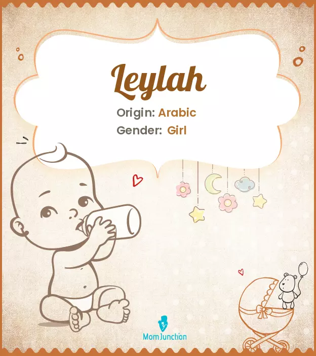 Explore Leylah: Meaning, Origin & Popularity_image