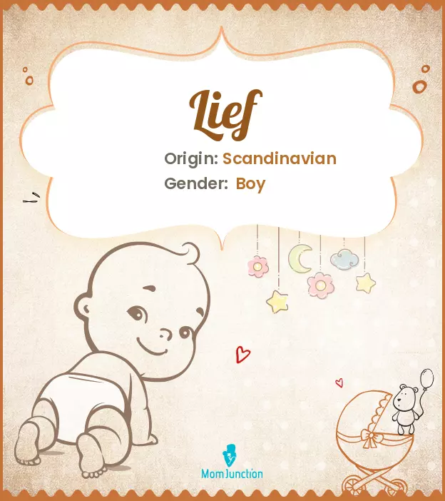 Explore Lief: Meaning, Origin & Popularity | MomJunction