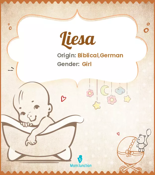 Explore Liesa: Meaning, Origin & Popularity | MomJunction