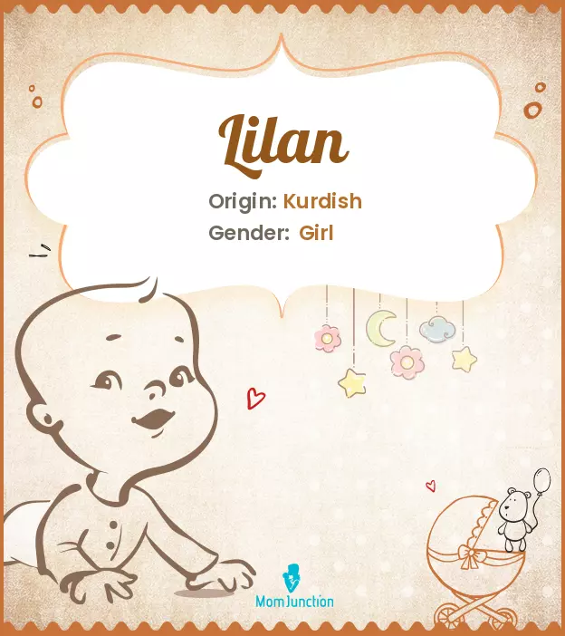 Lilan Name Meaning, Origin, History, And Popularity | MomJunction