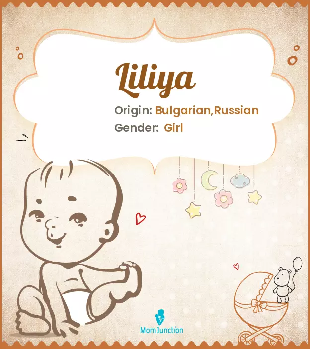 Explore Liliya: Meaning, Origin & Popularity_image