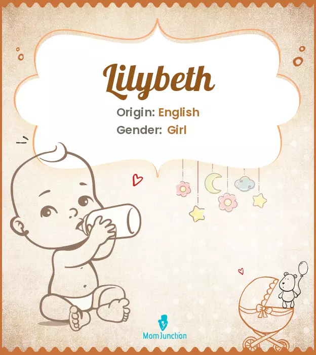 Explore Lilybeth: Meaning, Origin & Popularity_image