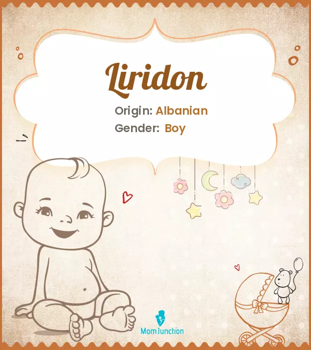 liridon_image