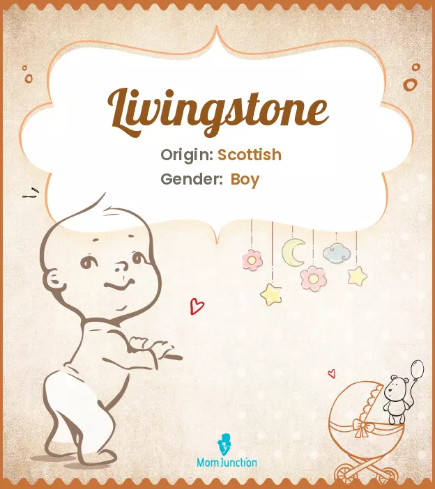Explore Livingstone: Meaning, Origin & Popularity | MomJunction