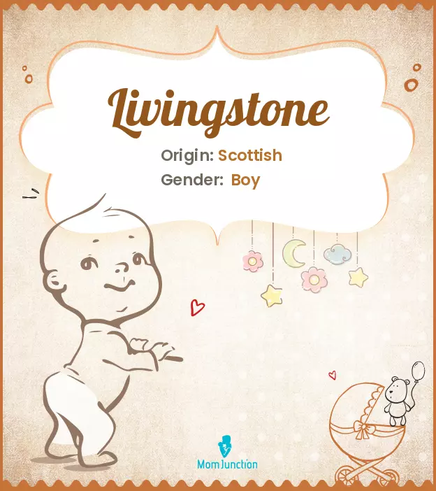 Explore Livingstone: Meaning, Origin & Popularity_image