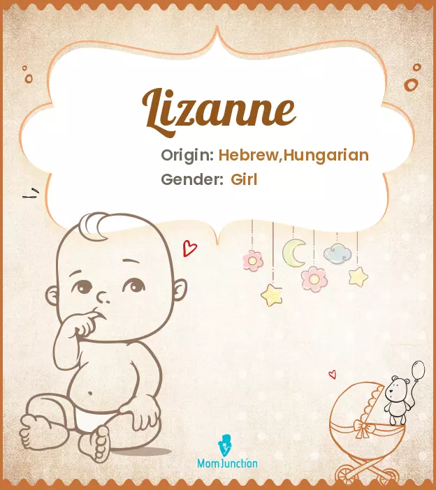 Explore Lizanne: Meaning, Origin & Popularity | MomJunction