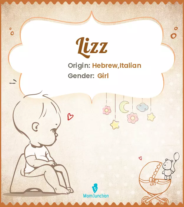 Explore Lizz: Meaning, Origin & Popularity_image