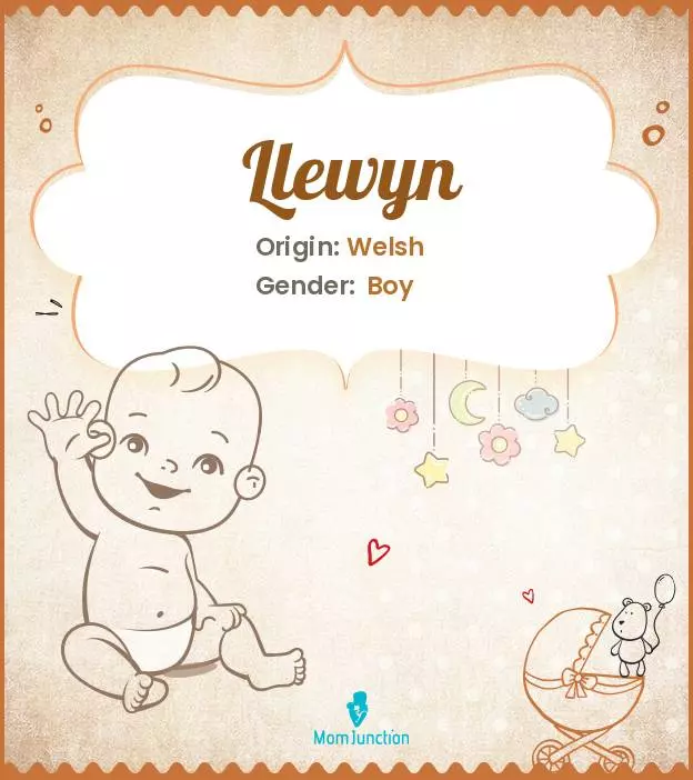 Explore Llewyn: Meaning, Origin & Popularity_image