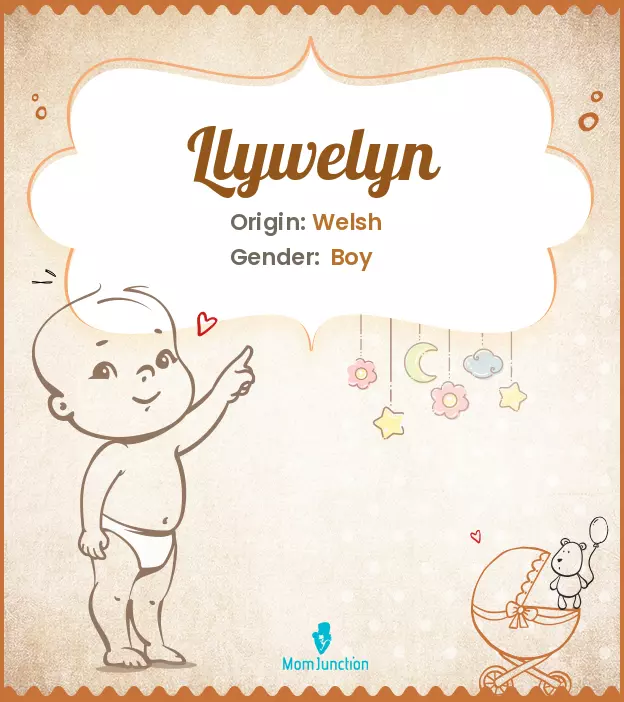 Explore Llywelyn: Meaning, Origin & Popularity | MomJunction