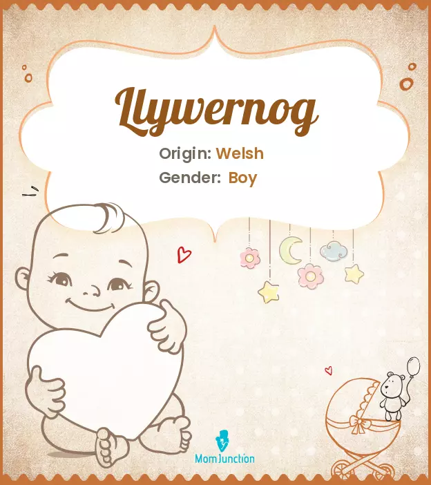 llywernog_image