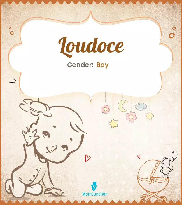 loudoce_image