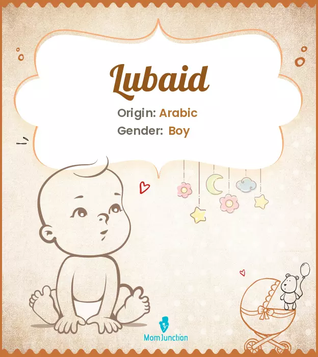 Lubaid Name Meaning, Origin, History, And Popularity | MomJunction