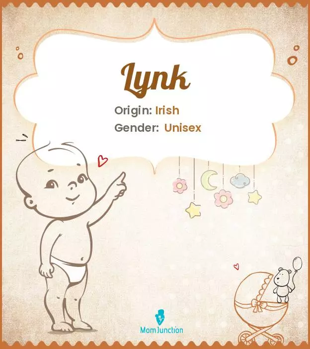 Baby Name Lynk Meaning, Origin, And Popularity