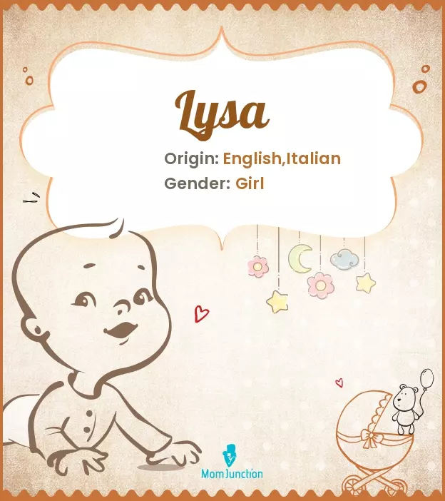 Explore Lysa: Meaning, Origin & Popularity | MomJunction