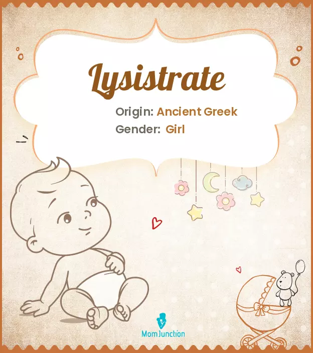 Lysistrate_image