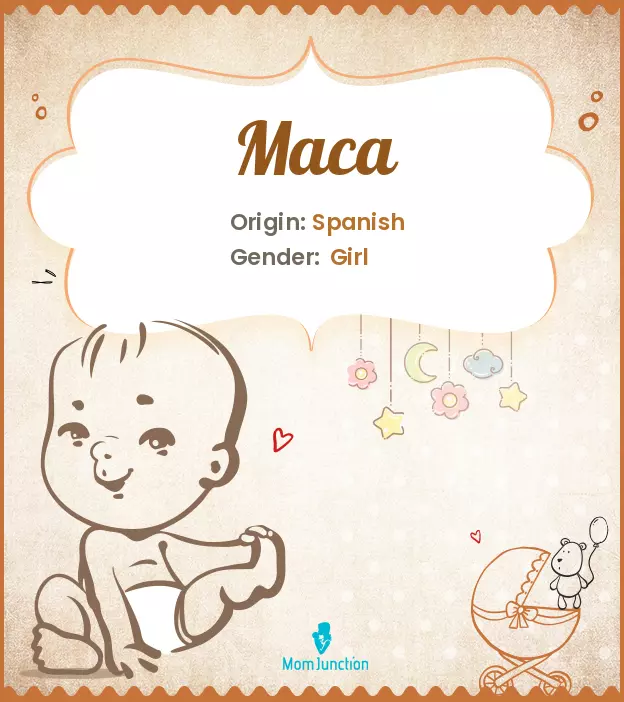 maca