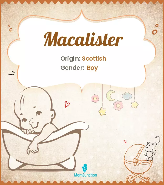 macalister_image