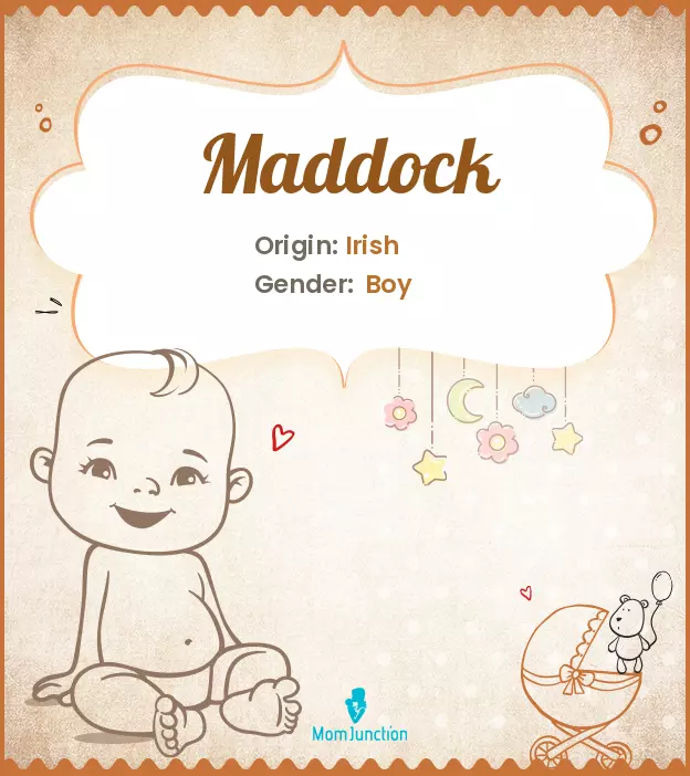 Explore Maddock: Meaning, Origin & Popularity_image