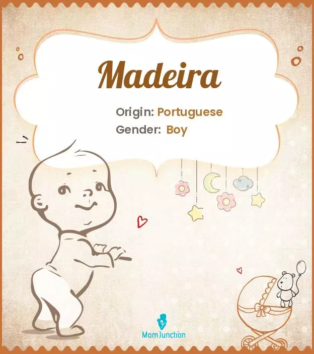 Explore Madeira: Meaning, Origin & Popularity_image