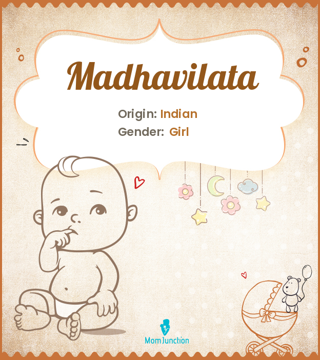 Madhavilata