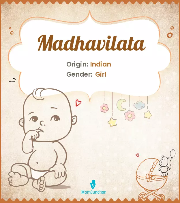 Madhavilata_image