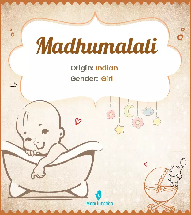 madhumalati_image