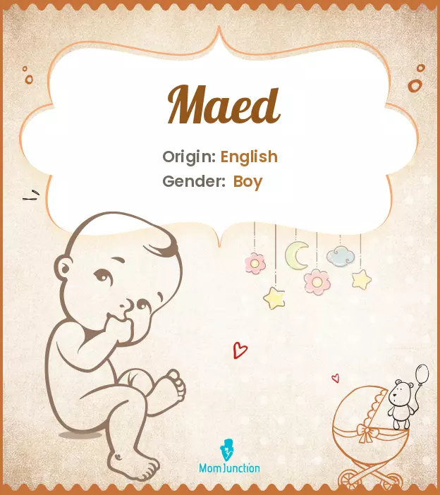 Explore Maed: Meaning, Origin & Popularity | MomJunction