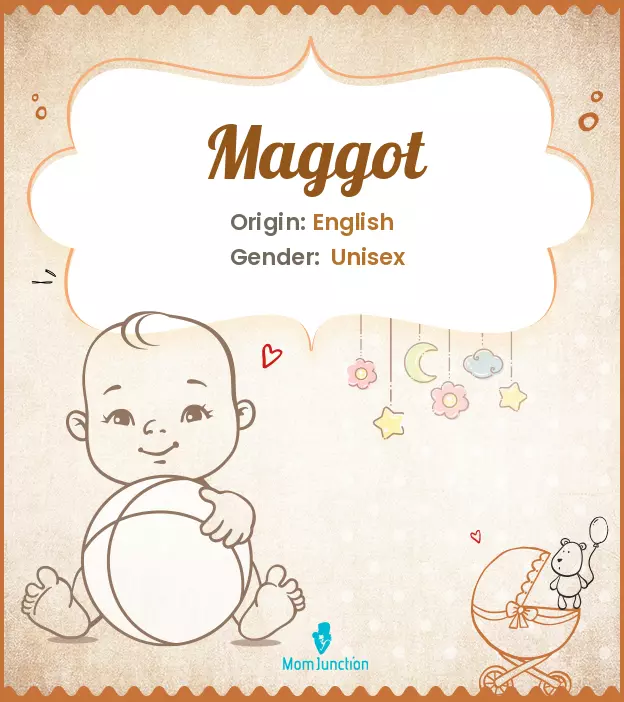 Explore Maggot: Meaning, Origin & Popularity | MomJunction