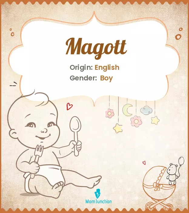 magott_image