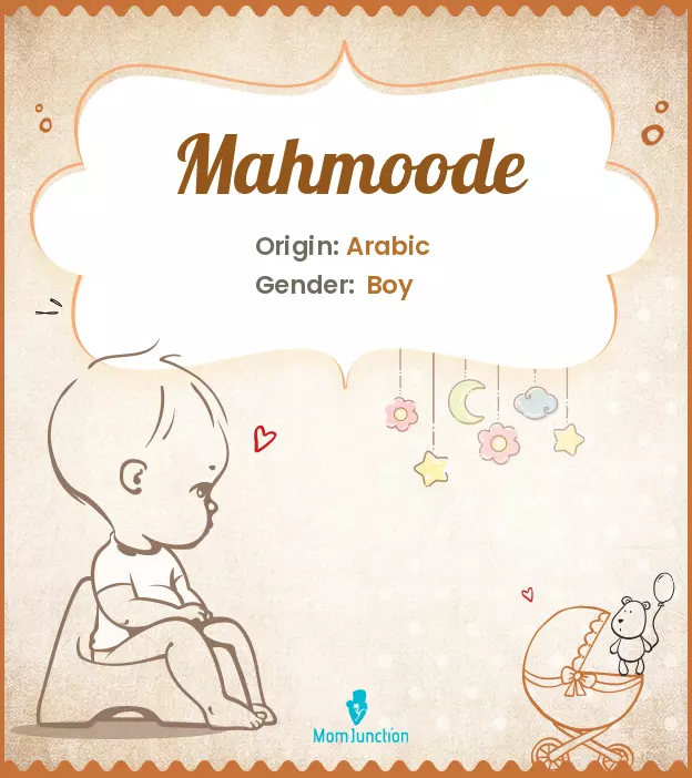 mahmoode_image