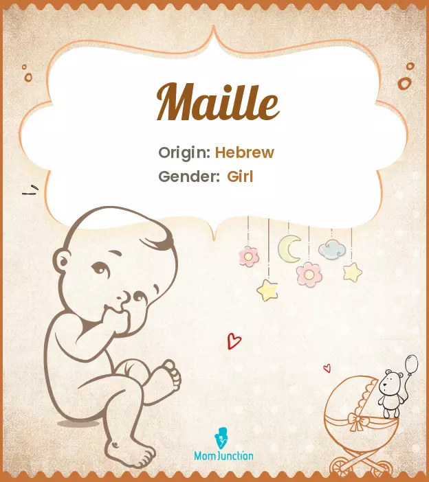 Explore Maille: Meaning, Origin & Popularity_image