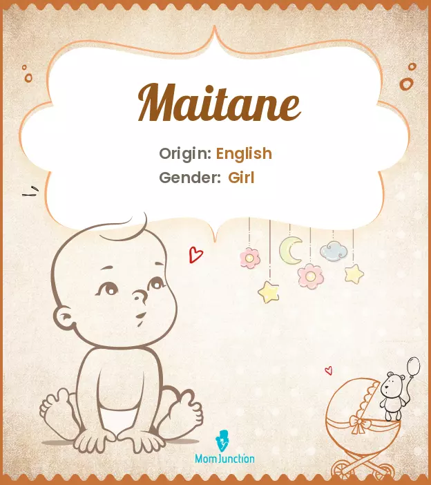 maitane_image