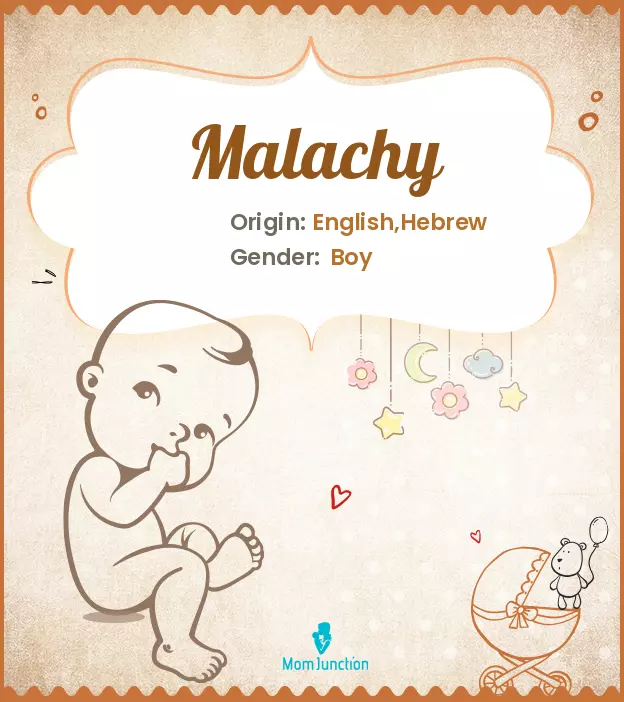 Explore Malachy: Meaning, Origin & Popularity_image