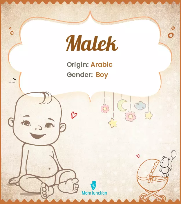 malek: Name Meaning, Origin, History, And Popularity_image