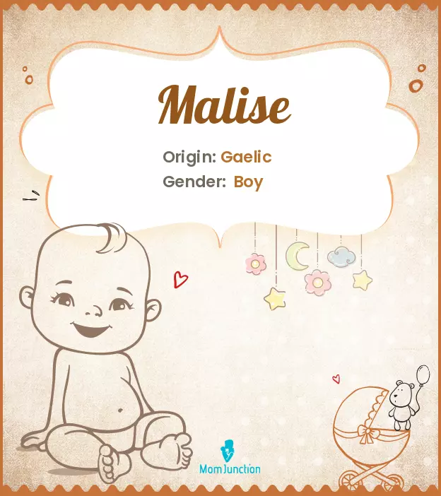 Explore Malise: Meaning, Origins & Popularity | MomJunction