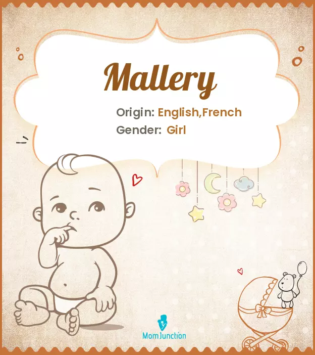 Explore Mallery: Meaning, Origin & Popularity_image