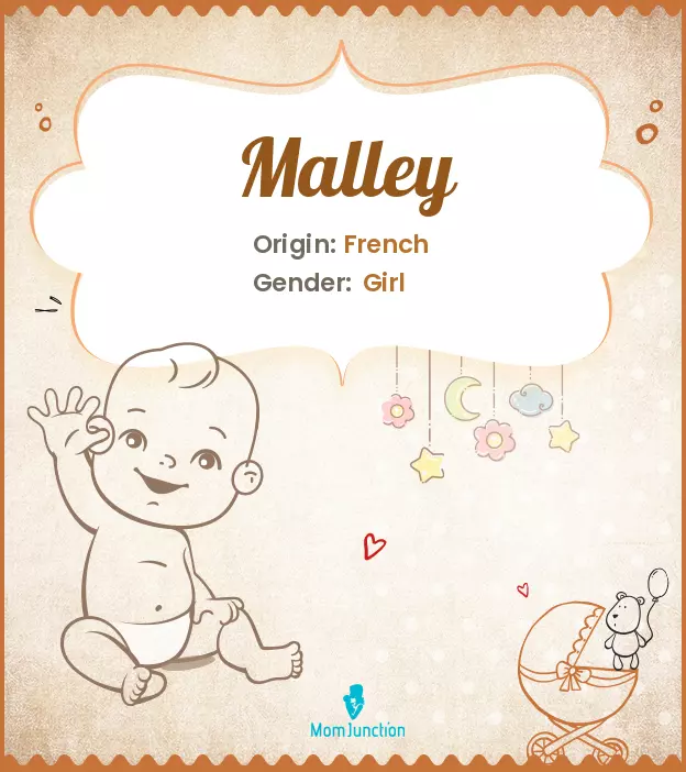 Explore Malley: Meaning, Origin & Popularity | MomJunction