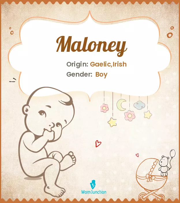 Explore Maloney: Meaning, Origin & Popularity_image