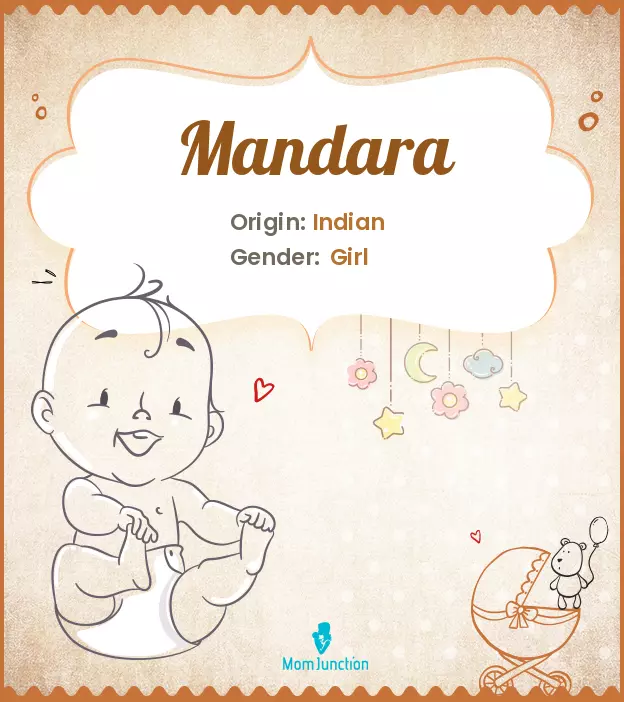 Explore Mandara: Meaning, Origin & Popularity | MomJunction